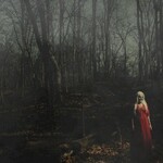 156/Silence, From a Distance