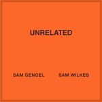 Sam Gendel & Sam Wilkes, Unrelated