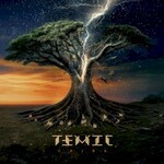 TEMIC, Ceiba