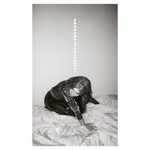 Julia Holter, Materia mp3