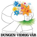 Dungen, Vidrig Var