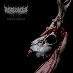 Mental Cruelty, Echoes of a Forlorn Land mp3