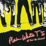 Plain White T's, All That We Needed