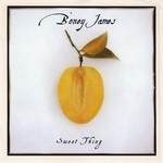 Boney James, Sweet Thing mp3