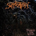 Suffocation, Pierced From Within mp3