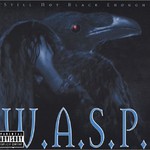 W.A.S.P., Still Not Black Enough