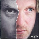 Babybird, Between My Ears There's Nothing but Music mp3