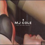 MJ Cole, Cut To The Chase mp3