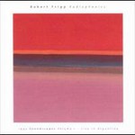 Robert Fripp, Radiophonics: 1995 Soundscapes, Vol. 1