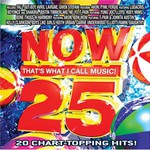 Various Artists, Now That's What I Call Music! 25