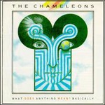 The Chameleons, What Does Anything Mean? Basically mp3