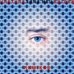Einsturzende Neubauten, Ende Neu Remixes mp3