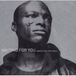 Seal, Waiting for You mp3