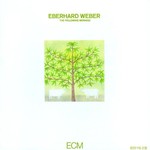 Eberhard Weber, The Following Morning mp3