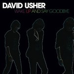 David Usher, Wake Up and Say Goodbye mp3
