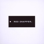 Red Snapper, A Pale Blue Dot mp3