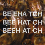 Beehatch, Beehatch