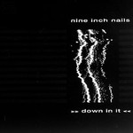 Nine Inch Nails, Down in It