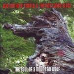 Acid Mothers Temple & The Pink Ladies Blues, The Soul of a Mountain Wolf mp3
