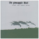 The Pineapple Thief, What We Have Sown mp3