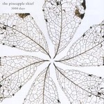 The Pineapple Thief, 3000 Days mp3