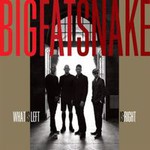 Big Fat Snake, What Is Left Is Right mp3