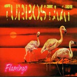 Turbostaat, Flamingo mp3
