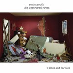Sonic Youth, The Destroyed Room: B-Sides and Rarities mp3