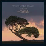 The Triffids, Wide Open Road - The Best of the Triffids mp3