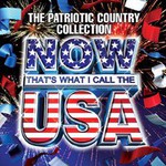Various Artists, Now That's What I Call the USA: The Patriotic Collection