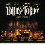 Birds of Tokyo, The Broken Strings Tour