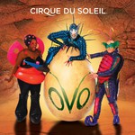 Cirque du Soleil, Ovo