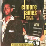 Elmore James, King of the Slide Guitar