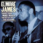 Elmore James, Shake Your Moneymaker: The Best of the Fire Sessions mp3