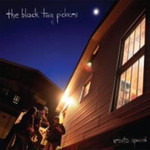 The Black Twig Pickers, Ironto Special mp3