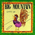 Big Mountain, Wake Up mp3