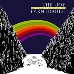 The Joy Formidable, I Don't Want to See You Like This mp3
