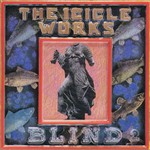 The Icicle Works, Blind