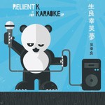Relient K, Is For Karaoke