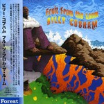 Billy Cobham, Fruit From The Loom mp3