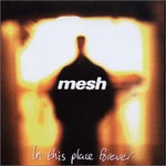 Mesh, In This Place Forever