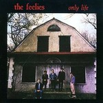 The Feelies, Only Life