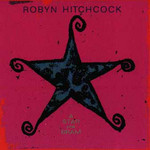 Robyn Hitchcock, A Star for Bram