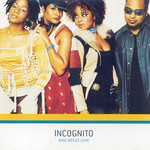 Incognito, Who Needs Love mp3