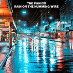 The Panics, Rain On The Humming Wire mp3