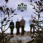 Big Country, John Wayne's Dream mp3