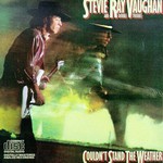 Stevie Ray Vaughan, Couldn't Stand the Weather
