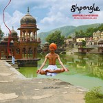 Shpongle, Ineffable Mysteries From Shpongleland mp3