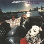 The Underdog Project, It Doesn't Matter mp3