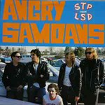 Angry Samoans, STP Not LSD